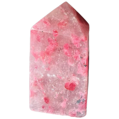 Sakura Rose